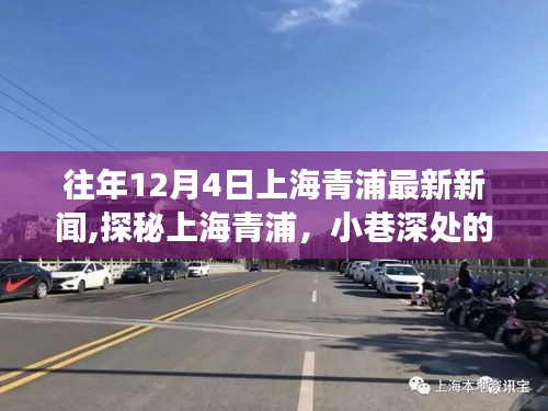 探秘上海青浦隐藏版特色小店，小巷深处的惊喜之旅（最新新闻回顾）