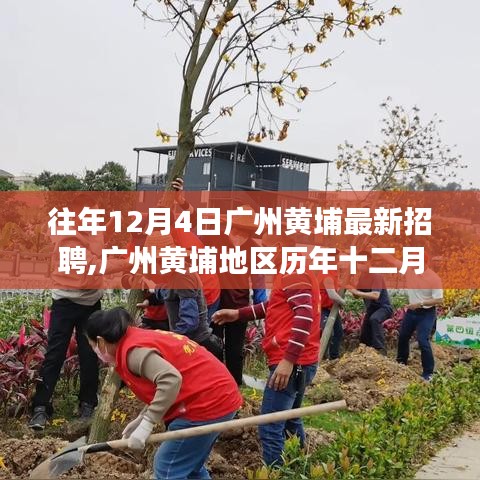 广州黄埔地区历年招聘深度解析，聚焦十二月四号招聘现象，以某观点透视往年情况