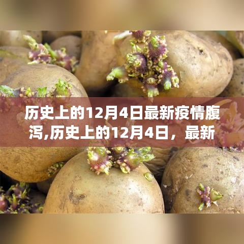 历史上的12月4日疫情腹泻现象深度解析与最新疫情腹泻报道