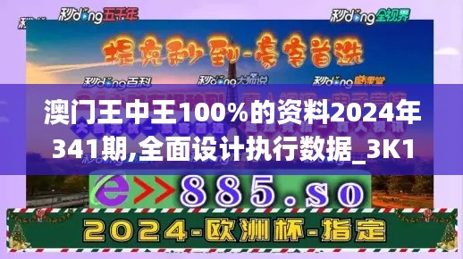 澳门王中王100%的资料2024年341期,全面设计执行数据_3K17.536