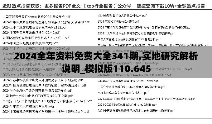 2024全年资料免费大全341期,实地研究解析说明_模拟版110.645