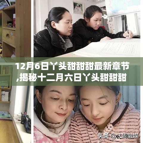 12月6日丫头甜甜甜最新章节,揭秘十二月六日丫头甜甜甜最新章节，深度解析要点