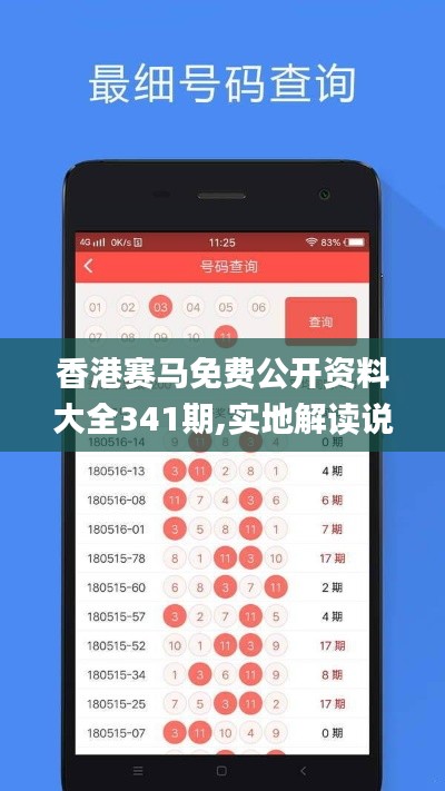 香港赛马免费公开资料大全341期,实地解读说明_Tizen17.167