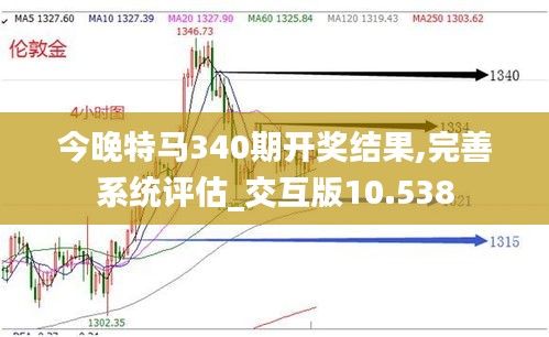 今晚特马340期开奖结果,完善系统评估_交互版10.538