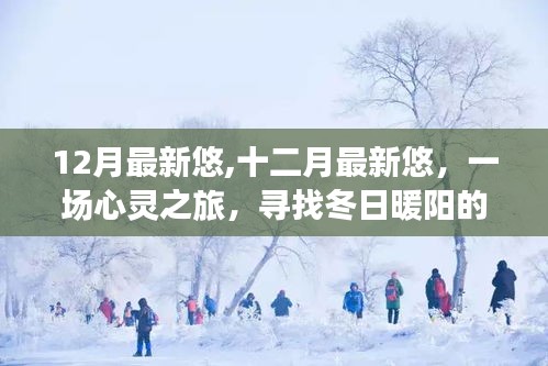 十二月心灵之旅，寻找冬日暖阳的美好