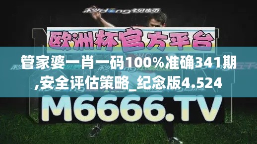 管家婆一肖一码100%准确341期,安全评估策略_纪念版4.524
