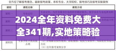 2024全年资料免费大全341期,实地策略验证计划_苹果款110.748