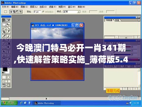 今晚澳门特马必开一肖341期,快速解答策略实施_薄荷版5.419