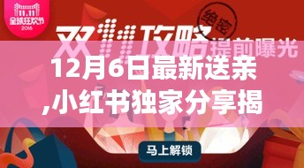 揭秘12月6日最新送亲习俗，小红书独家分享温馨告别仪式现场纪实