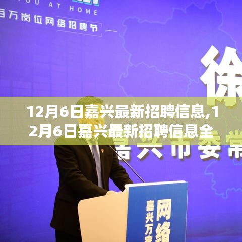 12月6日嘉兴最新招聘信息全面解析与评测