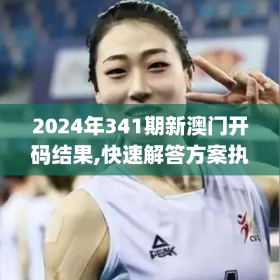 2024年341期新澳门开码结果,快速解答方案执行_10DM13.164