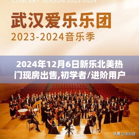 2024年12月6日新乐北美热门现房购买全程指南，适合初学者与进阶用户的理想房源推荐