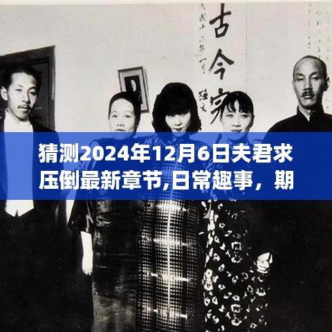 2024年12月6日夫君求压倒最新章节揭秘，日常趣事与期待的温暖时光