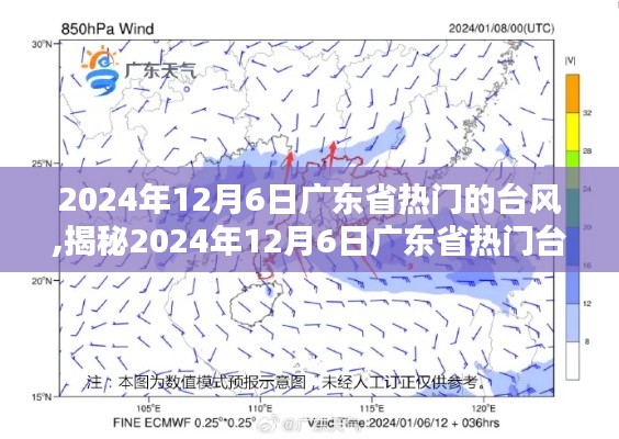 揭秘2024年广东省热门台风，深度解析与应对指南（附日期）