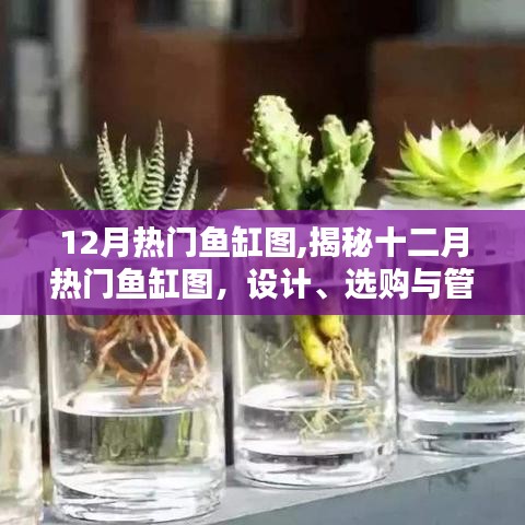 揭秘十二月热门鱼缸图，设计、选购与管理要点解析