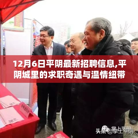 平阴最新招聘信息揭秘，求职奇遇与温情纽带在城中的展现