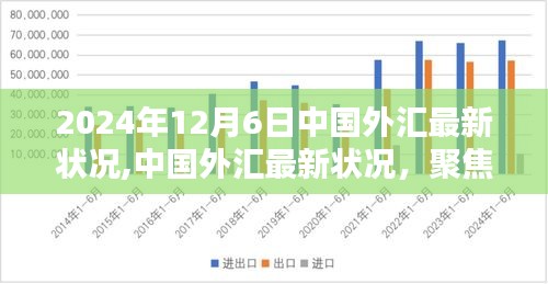 2024年12月6日中国外汇最新动态及市场聚焦