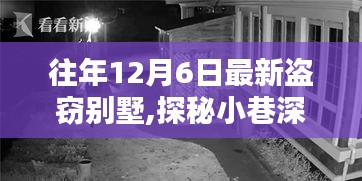 往年12月6日最新盗窃别墅,探秘小巷深处的隐藏宝藏，一家特色小店的盗窃别墅奇遇