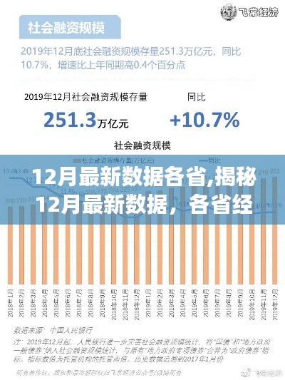 揭秘，最新数据下的各省经济与社会发展动态概览（12月版）