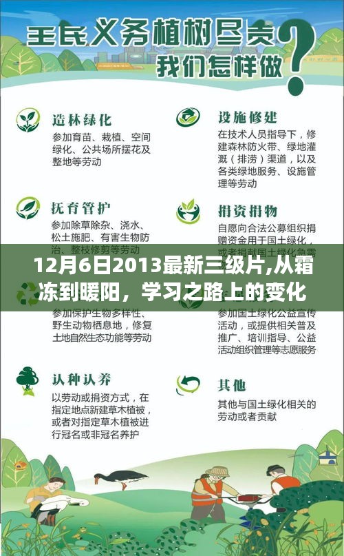 从霜冻到暖阳，学习之路上的变化与自信之光的探索（2013年12月6日三级片）