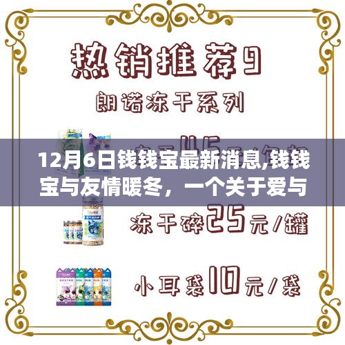 钱钱宝与冬日温情，爱与陪伴的温馨故事最新消息（12月6日）