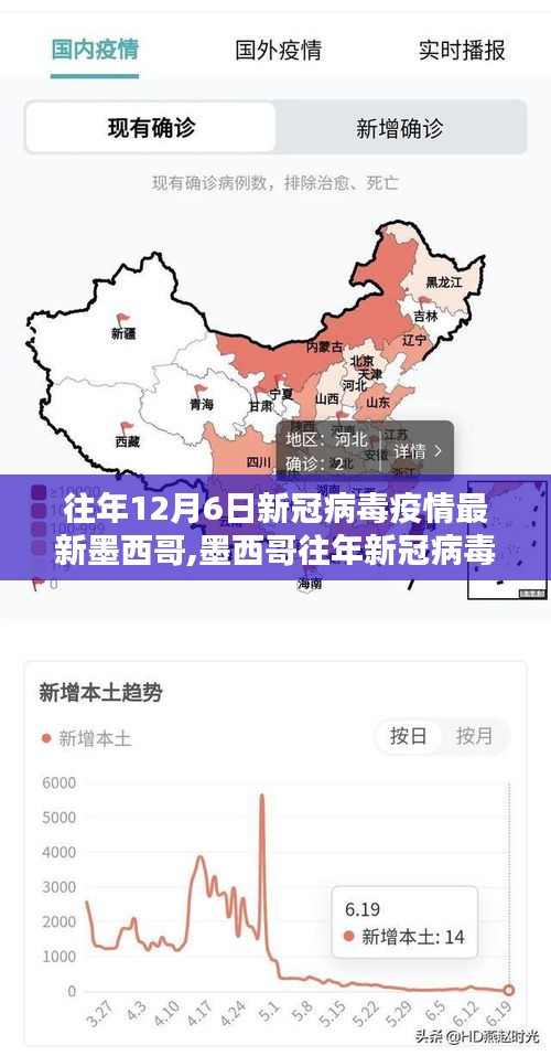 墨西哥历年新冠病毒疫情动态，了解、预防与应对策略指南
