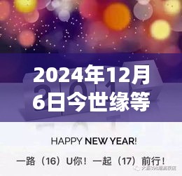 今世缘等着我 2024年12月6日最新一期深度解读与回顾
