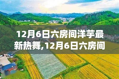 12月6日六房间洋芋热舞盛宴，视觉与文化的完美交融