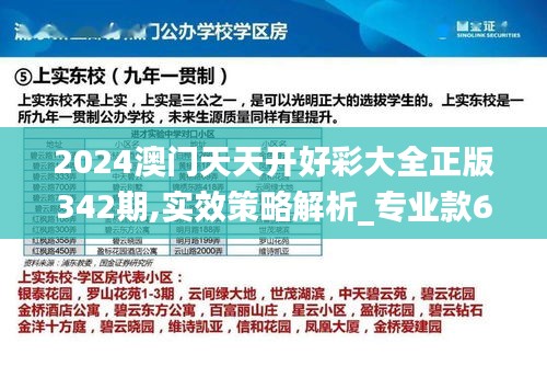 2024澳门天天开好彩大全正版342期,实效策略解析_专业款6.210
