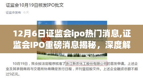 证监会IPO重磅消息揭秘，深度解读十二月六日的金融风云变幻与IPO动态
