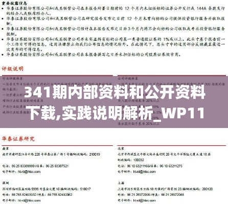 341期内部资料和公开资料下载,实践说明解析_WP110.329