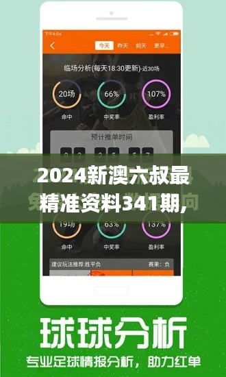 2024新澳六叔最精准资料341期,迅速执行设计方案_运动版9.421