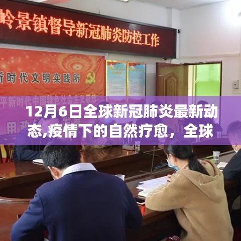 全球新冠肺炎最新动态下的自然疗愈与探索之旅