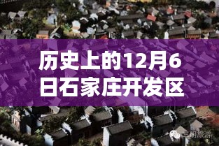 石家庄开发区隐藏小巷的神秘招聘日，探寻特色小店的无限魅力与历史招聘回顾