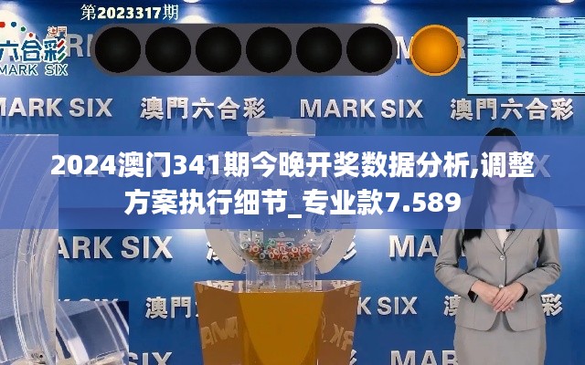 2024澳门341期今晚开奖数据分析,调整方案执行细节_专业款7.589