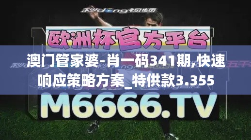 澳门管家婆-肖一码341期,快速响应策略方案_特供款3.355