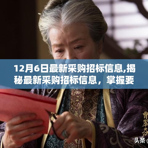12月6日采购招标信息揭秘，洞悉商机，掌握要点
