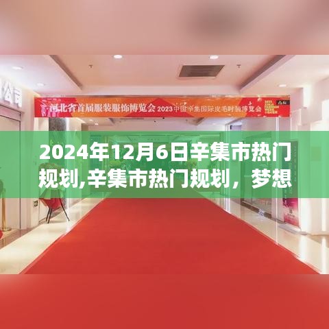 辛集市热门规划启航，学习成就未来之光（2024年12月6日）