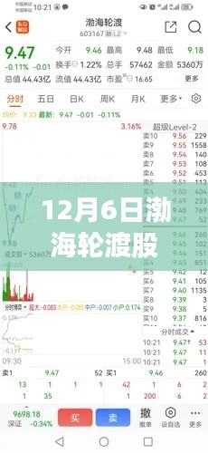 渤海轮渡股票最新动态解析，三大要点一网打尽（12月最新消息）