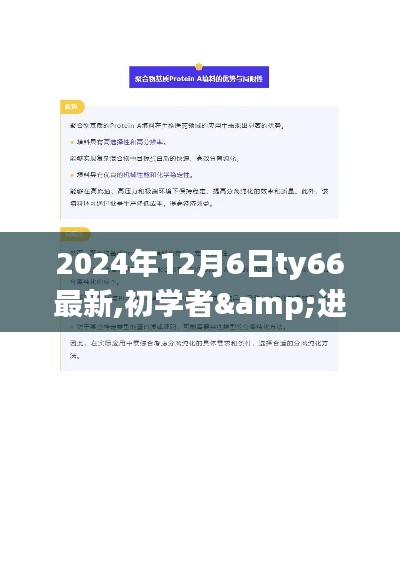 初学者与进阶用户指南，2024年12月6日ty66全新任务完成步骤详解