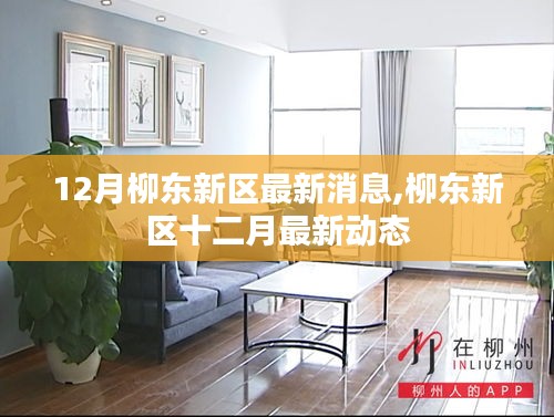 柳东新区十二月最新动态更新，最新消息一览
