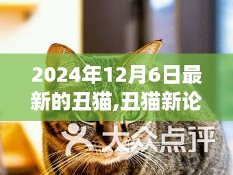 2024年12月6日最新的丑猫,丑猫新论，2024年视角下的审视与反思