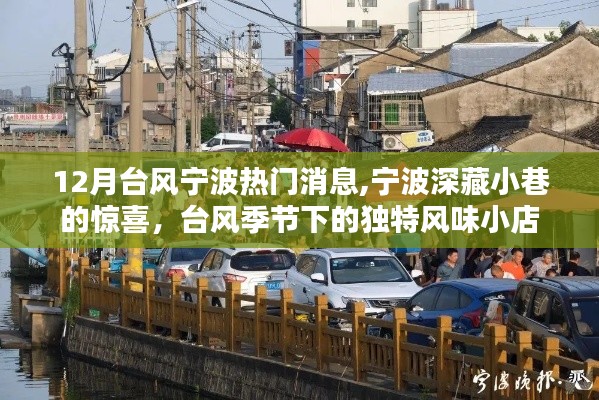 宁波台风季节下的惊喜，小巷独特风味小店与热门消息回顾