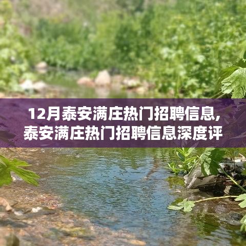 泰安满庄热门招聘信息深度评测与介绍，12月最新岗位介绍及推荐