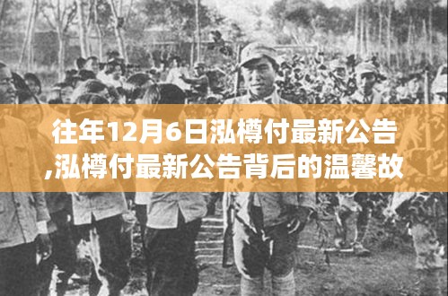 泓樽付往年12月6日最新公告，友谊与爱的陪伴背后的温馨故事