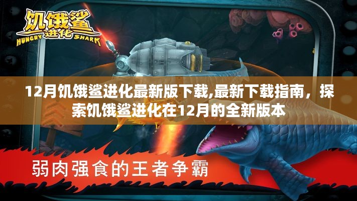 12月饥饿鲨进化最新版下载指南，探索全新版本的深海霸主