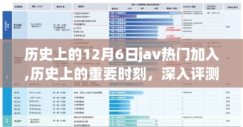Java的独特魅力与优势，历史上的十二月六日深度评测与回顾