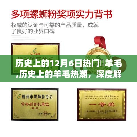 历史上的羊毛热潮，深度解析与体验评测，探寻羊毛热潮背后的故事与影响