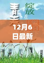 冬日暖阳下的甜蜜日常，12月6日与beeg的奇妙邂逅