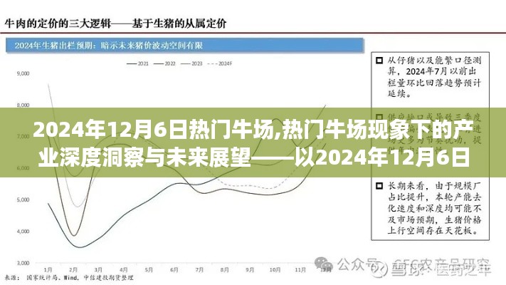 2024年12月6日热门牛场现象深度洞察与未来展望